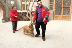 过年摆寿宴，金毛狗狗拦送货小哥不让走，农村婆婆说出原由，笑喷视频封面
