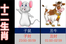 十二生肖，十二时辰，鼠牛虎兔龙蛇马羊猴鸡狗猪！视频封面