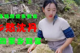 离异加上负债，单身妈妈沈丹返乡创业，走红网络带动家乡致富视频封面