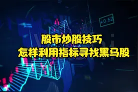 股市炒股技巧 怎样利用指标寻找黑马股视频封面