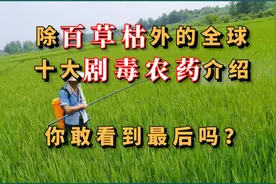 除百草枯外的全球十大剧毒农药介绍，你敢看到最后吗？视频封面