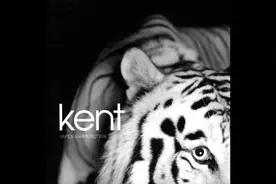 推荐一首瑞典 Kent（肯特）乐队超好听单曲 - Socker（音频）视频封面