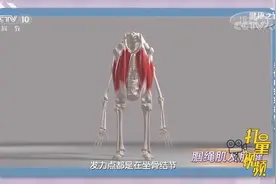 导致臀部疼痛的原因是什么？医生在线详细解答，来听听|健康之路视频封面
