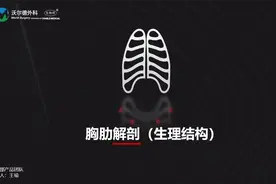 胸肋3D解剖（生理结构）.mp4视频封面