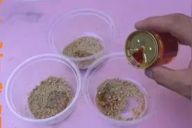 农村灭鼠有妙招，不用夹子不用药，让家里地里的老鼠，全部逃不掉视频封面