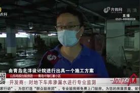 交付不到半年,地下车库往上冒水大面积渗漏,业主怒斥：都能养鱼了视频封面