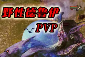 魔兽怀旧服：联盟鬼服平民纯野德的战场欢乐时光视频封面