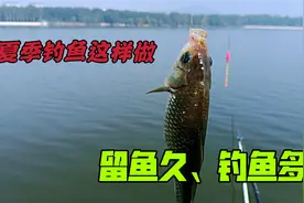 高温季节哪种钓法效果好？这种钓法值得一试，诱鱼快钓鱼多