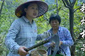 又是捡板栗的季节，糖炒板栗这样做，好剥又好吃视频封面