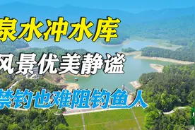 长沙泉水冲水库生态优美静谧，禁钓也难阻钓鱼人热情，附卫星地图视频封面
