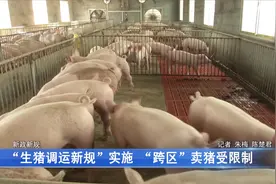 4月1日起这些新政新规正式落地施行！  “跨区”卖猪受限制视频封面