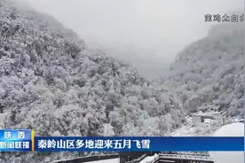 秦岭山区多地迎来五月飞雪视频封面