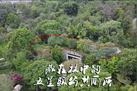 第一次看到这么豪华、干净的公共厕所，你也来看看吧视频封面