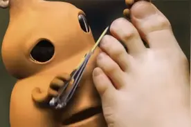 奇幻片：男孩得到一个宝葫芦，能够实现任何愿望，最后他却扔了