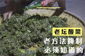 妈妈亲自做的老坛酸菜，50年的老方法腌制，放1年也不会坏视频封面