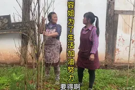 容姐为了生活而继续努力加油着，担起一份责任与担当。视频封面
