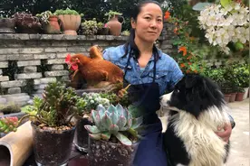 废旧玻璃杯怎么处理？80后肉友分享，只需开个孔，网友太实用啦视频封面