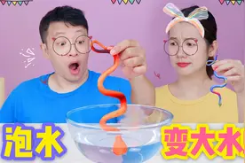 玩具蛇放水里就能放大6倍？挑战泡水72小时，没想结果又被打脸了视频封面