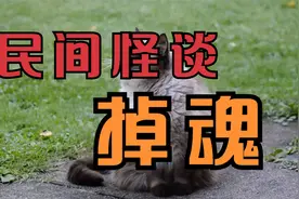 民间怪谈：掉魂视频封面