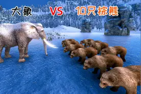 10只棕熊挑战1头大象，大象能创造奇迹吗？最后结局让人意外