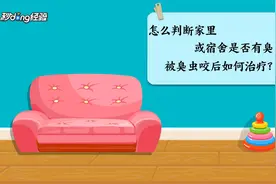 怎么判断家里或宿舍是否有臭虫，被臭虫咬后如何治疗视频封面