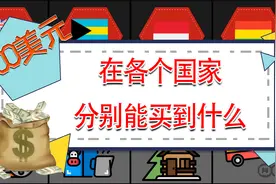 100美元在各个国家能买到些什么呢？假如你有100美元，你想买什么视频封面