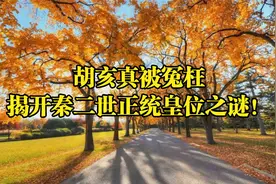 胡亥真被冤枉？揭开秦二世正统皇位之谜！视频封面