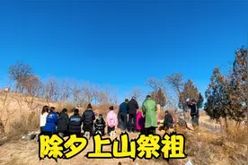 除夕这天，二春和叔伯们上山祭祖，回来打扫卫生，嘟嘟也帮忙干活视频封面
