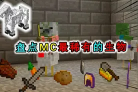我的世界盘点：MC里超稀有生物，骷髅马被雷劈能生成骷髅骑士？