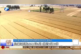 河南夏粮丰收在望，小麦收购价1.13元斤，比去年上涨0.01元斤