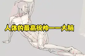 人体的最高统帅——大脑视频封面