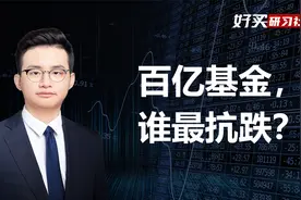 这33只百亿基金，哪些最抗跌耐打？视频封面