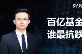 这33只百亿基金，哪些最抗跌耐打？视频封面