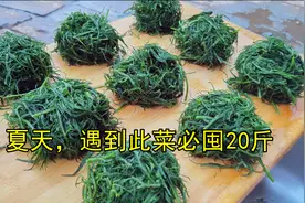 夏天，遇到此菜别手软，我家每年必囤20斤，放冰箱存起来，特省事视频封面