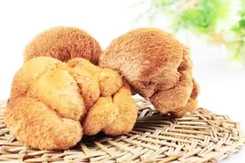 养胃还得靠这5种食物，胃一天天强壮起来，胃病难以“亲近”你视频封面