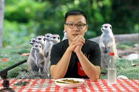 现在学汽车，还有前途吗？视频封面
