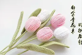 DIY郁金香花束 钩织教程视频封面
