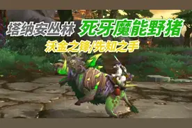 【老司机】魔兽世界，塔纳安丛林死牙魔能野猪详细获取攻略！视频封面