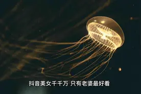 抖音美女千千万，只有老婆最好看，选一个做你的老婆视频封面