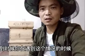 蜜蜂养殖强群不分蜂方法视频封面