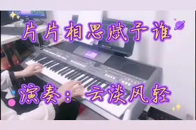 云淡风轻电子琴演奏---《片片相思赋予谁》.视频封面