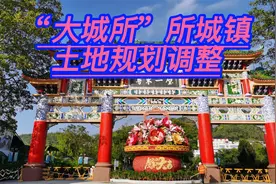 “大城所”所城镇土地规划调整视频封面