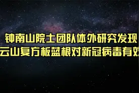 钟南山院士团队体外研究发现白云山复方板蓝根对新冠病毒有效！视频封面