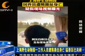 上海野生动物园，饲养员遭熊撕扯身亡，猛兽区已关闭视频封面