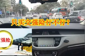 只买交强险行不行？老司机给你算一笔账就知道了，还敢开车上路吗视频封面