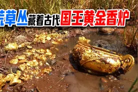 荒野草丛发现古代黄金饰品，寻宝达人带户外寻宝，体验不同的野外视频封面