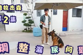 1岁多德牧见到人就小便失禁，遇到这种问题，90%的人都做错了视频封面