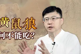 为啥没人吃“黄鼠狼”？并非被传说吓到了，李时珍也劝你别嘴馋视频封面