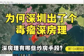 解密毒瘤深房理的炒房秘籍，为何深圳出了个深房理？视频封面