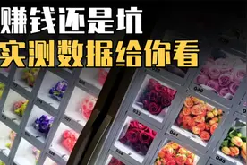 鲜花自动贩卖机创业副业项目，赚钱还是坑，实测数据给你看视频封面